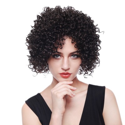 Short Curly Wigs For Black and White Women, Afro Kinky Curly Synthetic Wig